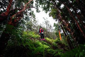 BIB: 
                            <button type="button" onclick="openModal(26203280)" class="btn btn-primary btn-sm float-right btn-popup" data-toggle="modal" data-target=".modal-high-quality">
                        <i class="fas fa-shopping-cart"></i> Add to Cart
                    </button>
                                            <button type="button" onclick="isThisMe(26203280, true)" class="btn btn-success btn-sm float-right btn-popup btn-isme hidden" data-toggle="tooltip" data-placement="bottom" title="นี่คือรูปของคุณใช่ไหม คลิกที่นี่เพื่อเอาเข้าอัลบั้ม">
                        <i class="fas fa-plus"></i> Add to album
                    </button>
                    <button type="button" onclick="isThisMe(26203280, false)" class="btn btn-warning btn-sm float-right btn-popup btn-isnotme hidden">
                        <i class="fas fa-ban"></i> Remove from album
                    </button>